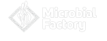logo -white